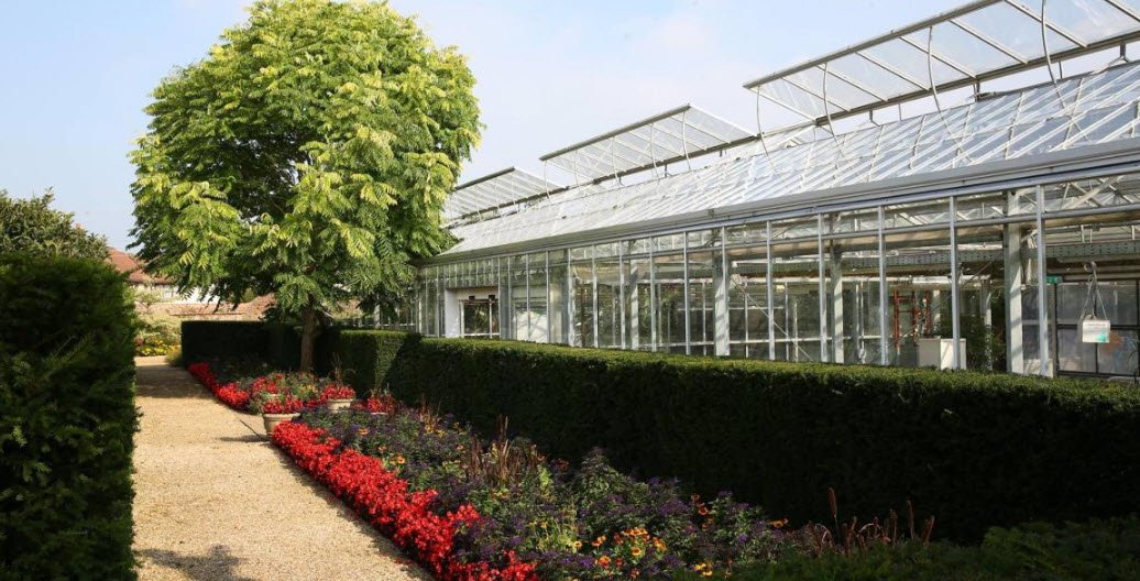 The Walled Gardens of Cannington Tea Room, , United Kingdom